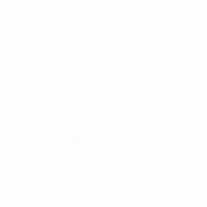 Logo Vakom blanc